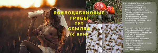 спиды Алексин