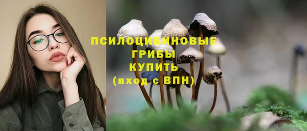 спиды Алексин