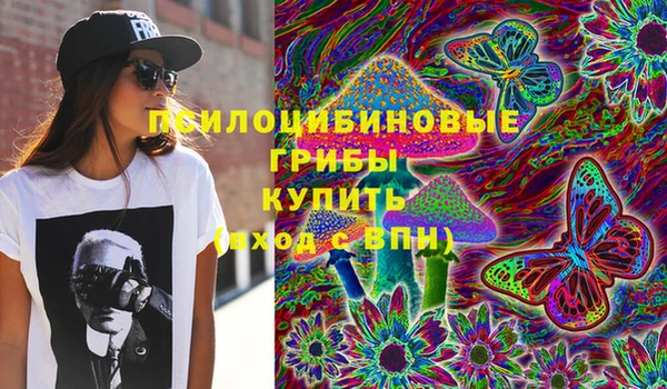 спиды Алексин